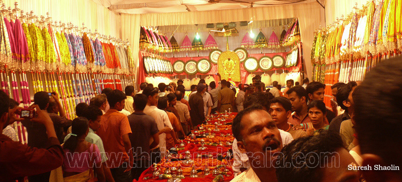 thrissur-pooram-2010 (20)